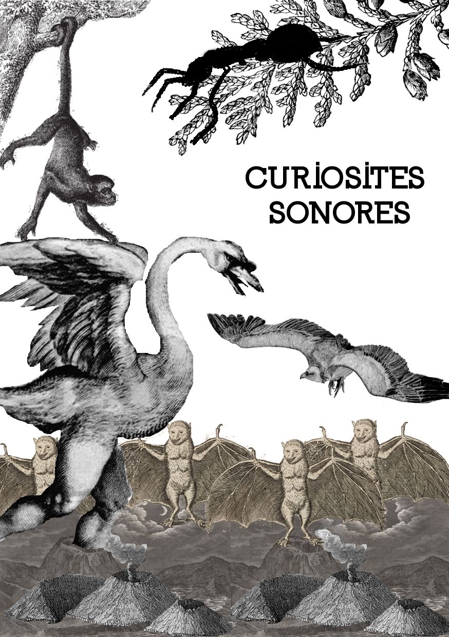 image_curiosites_sonores