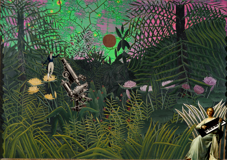jungle_party