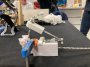 humanlab:img_0434.jpg