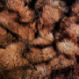 undefined:eros_thanatos_kalimotxo_1.gif
